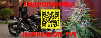 мдма Будённовск