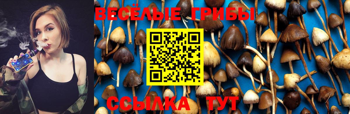 Галлюциногенные грибы Magic Shrooms  Вход с VPN  Ревда 